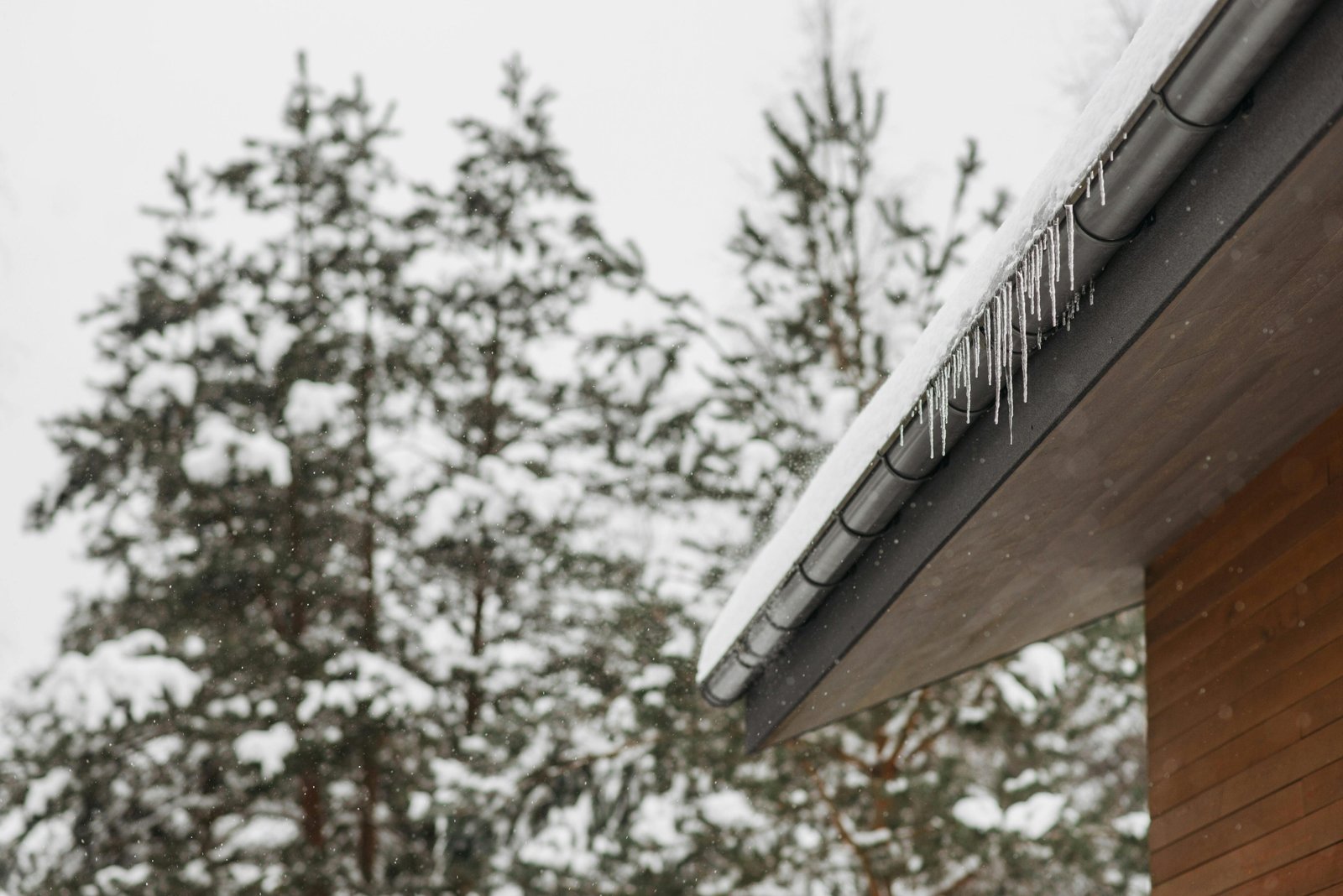 pexels-photo-6667091-6667091 Stunning winter scene of icicles hanging from a snow-covered roof with snowy pines in the background.
